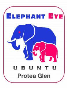 Elephant Eye